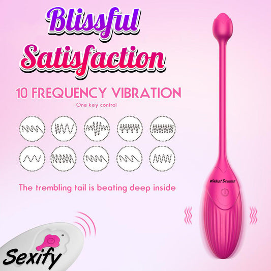 Wearable Remote Control Vibrating Panties G-Spot Stimulator Egg Dildo Sex Toy