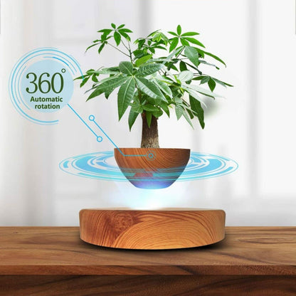 GOMINIMO Magnetic Levitating Plant Pot Oak GO-MLP-108-HCNT